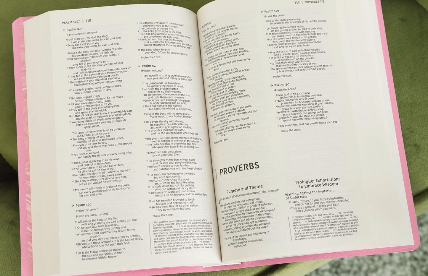 Pink Gift NIV Bible